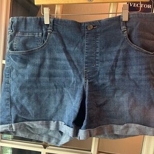 Time and Tru Classic Blue Denim Shorts